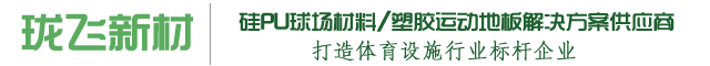 珑飞新材-南方体育工程塑胶运动地板品牌