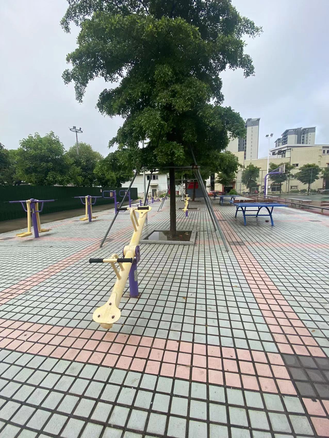 跷跷板 板芙镇白溪村体育公园硅PU球场项目(图9)